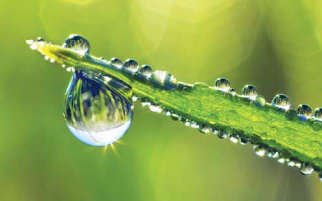 Feeding the Planet – 5 action steps to Sustainable Agriculture (1 of&nbsp;2)