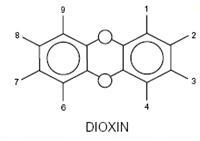 Dioxins – 0 or&nbsp;1