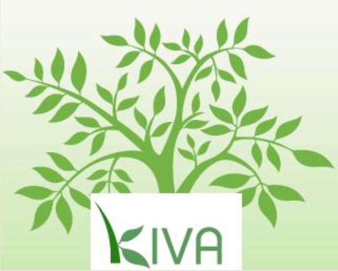Microcredit -II: KIVA – Online lending&nbsp;platform