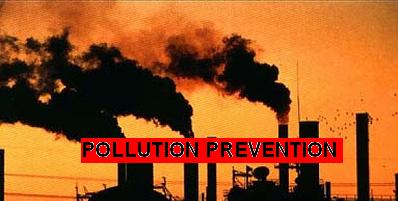 2 companies using “P2” as a Proactive Marketing&nbsp;Strategy