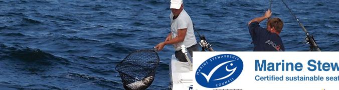 MSC Transforming Global Fishing – Case&nbsp;Study