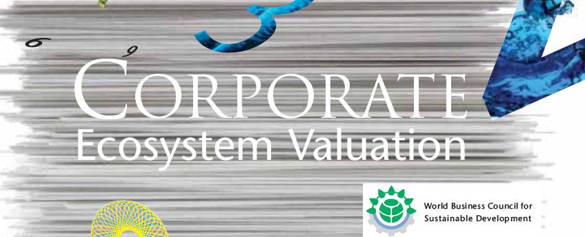 10 reasons why business should conduct Corporate Ecosystem&nbsp;Evaluation