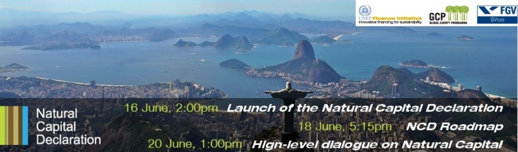 Pushing for Full Corporate Accountability at RIO+ 20 – NATURAL CAPITAL&nbsp;DECLARATION