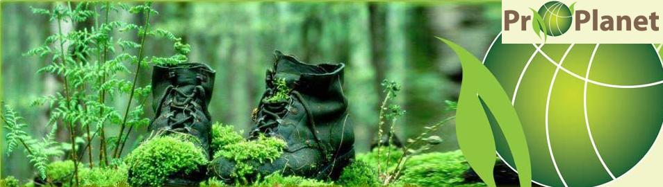 In God we trust, everybody else brings data: Woodland’s Pro-Planet&nbsp;initiative