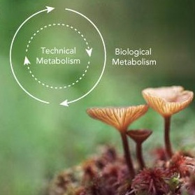 What is Value creation and Good Corporate&nbsp;Governance?