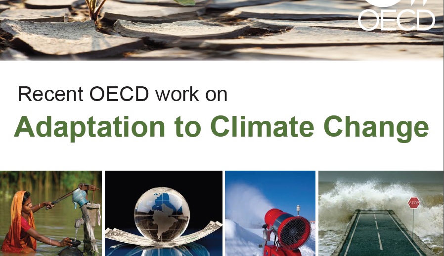 Adapting to the Impacts of Climate Change – a brief run-up to DSDS&nbsp;2013