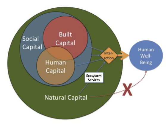 Valuing the services of nature and why it is so important for&nbsp;business