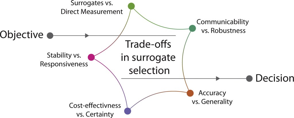 The Surrogate Metric Dilemma in Sustainability and Circular&nbsp;Economy